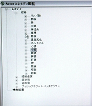 sokutei03.jpg